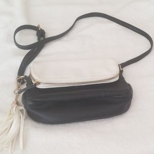 Lily & Ivy purse